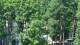 Jurmala 14.07.2025 15:27