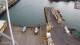 Akranes 11.07.2025 15:18