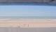 Henne Strand 08.07.2025 15:15