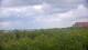 Zuydcoote 03.06.2025 15:19