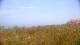 Zuydcoote 30.04.2025 15:19