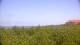 Zuydcoote 03.07.2025 15:19