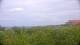 Zuydcoote 05.07.2025 15:19