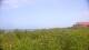 Zuydcoote 14.06.2025 15:19