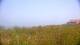 Zuydcoote 29.04.2025 15:19