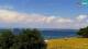 Izola 04.07.2025 15:19