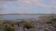 Lerwick (Shetland) 09.06.2025 15:19