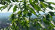 Melle 20.06.2026 15:27