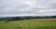 Grebenhain 10.07.2025 15:20