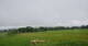 Grebenhain 14.06.2025 15:20