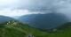 Donnersbachwald 03.07.2025 15:20