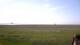 Vains 29.04.2025 15:21