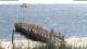 Wyk auf Föhr 11.05.2025 15:21