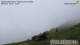 Werfenweng 24.04.2025 15:17