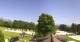 Ramsau am Dachstein 14.06.2025 15:21