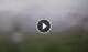 Syðrugøta 30.06.2025 15:22