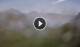 Syðrugøta 15.07.2025 15:29