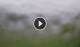 Syðrugøta 23.06.2025 15:22