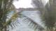 Pointe aux Canonniers 30.04.2025 15:22