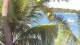 Pointe aux Canonniers 23.04.2025 15:22