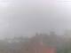 Bad Bentheim 08.06.2025 15:22