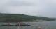 Bingen am Rhein 15.06.2025 15:22