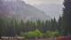 Schwangau 15.06.2025 15:23