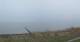 Nebel (Amrum) 17.01.2025 15:24