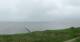 Nebel (Amrum) 08.06.2025 15:23