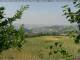 Fornovo di Taro 13.06.2025 15:23
