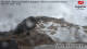 Zugspitze 02.07.2025 15:23