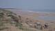 Longeville-sur-Mer 30.04.2025 15:23