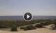 Torre San Giovanni 18.06.2025 15:24