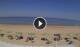 Silvi Marina 30.04.2025 15:24