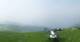 Rogno 09.06.2025 15:25