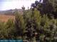 Bolonia 08.06.2025 15:25