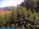 Bologna 11.06.2025 15:25