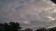 Carrum 14.07.2025 15:31