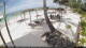 Kiwengwa (Zanzibar) 10.05.2025 15:25