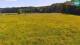Medvode 10.05.2025 15:26