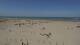 Dunkirk 08.07.2025 15:25