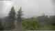 Flatts Village 09.07.2025 15:26