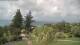Flatts Village 08.06.2025 15:26