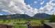 Schwangau 10.05.2025 15:26