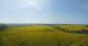 Kap Arkona 30.04.2025 15:27