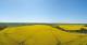 Kap Arkona 10.05.2025 15:26