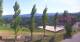 Sulztal 20.05.2025 15:26