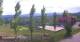 Sulztal 10.05.2025 15:26