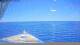 Norwegian Gem 20.02.2025 15:28