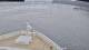Norwegian Jade 29.04.2025 15:27